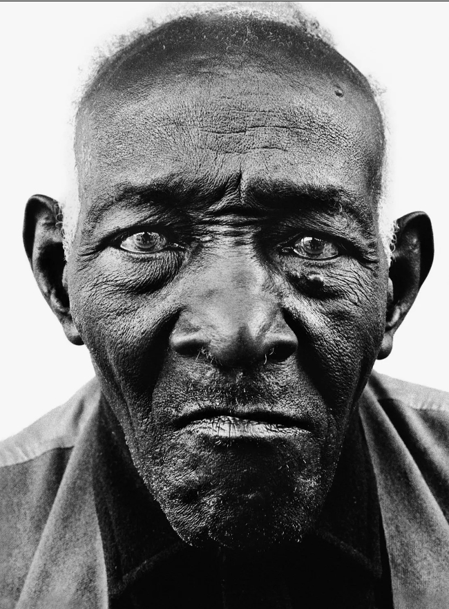 avedon